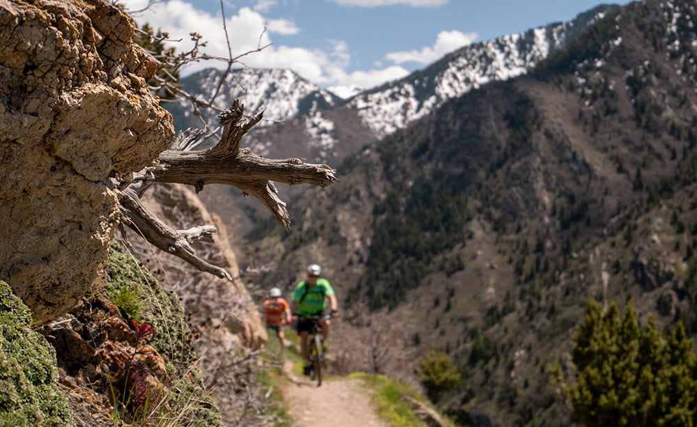 Mountain Biking at Keystone's High Elevation