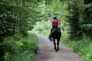 Horseback riding